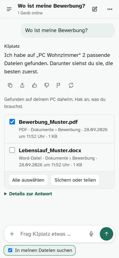 The fetched file with the button to save or share